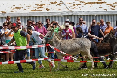 Eselrennen-Fruehlingsfest-2023-0051