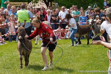 Eselrennen-Fruehlingsfest-2023-0060