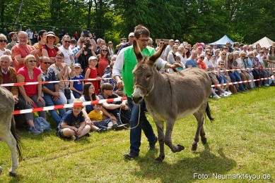 Eselrennen-Fruehlingsfest-2023-0078
