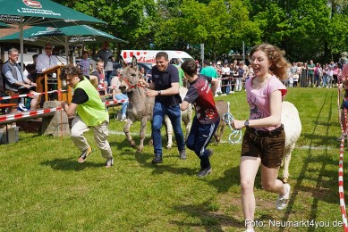 Eselrennen-Fruehlingsfest-2023-0110