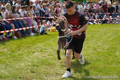 Eselrennen-Fruehlingsfest-2023-0114