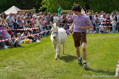 Eselrennen-Fruehlingsfest-2023-0116