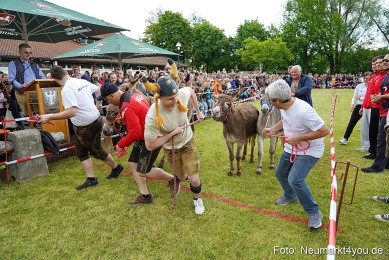 Esellrennen-Fruehlingsfest-Neumarkt-2026-0008