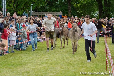 Esellrennen-Fruehlingsfest-Neumarkt-2026-0026