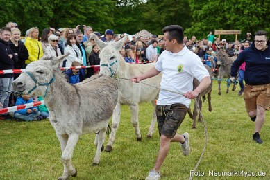 Esellrennen-Fruehlingsfest-Neumarkt-2026-0034