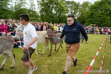 Esellrennen-Fruehlingsfest-Neumarkt-2026-0035