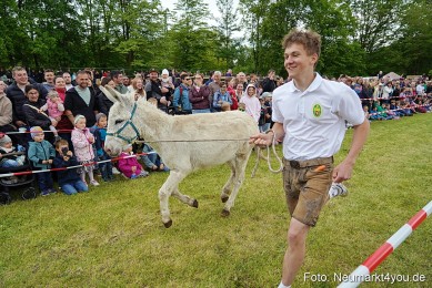 Esellrennen-Fruehlingsfest-Neumarkt-2026-0044
