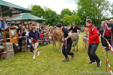 Esellrennen-Fruehlingsfest-Neumarkt-2026-0051