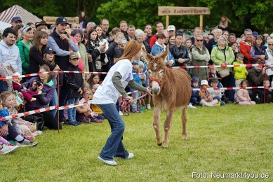 Esellrennen-Fruehlingsfest-Neumarkt-2026-0053