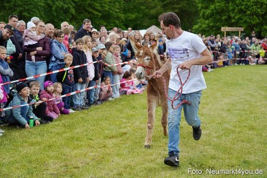 Esellrennen-Fruehlingsfest-Neumarkt-2026-0057
