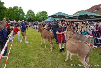 Esellrennen-Fruehlingsfest-Neumarkt-2026-0063