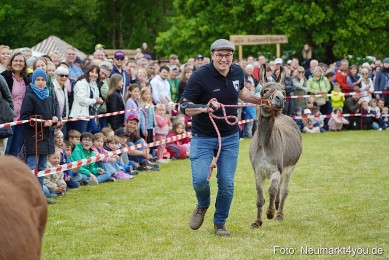 Esellrennen-Fruehlingsfest-Neumarkt-2026-0065