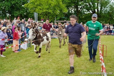 Esellrennen-Fruehlingsfest-Neumarkt-2026-0070