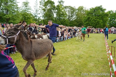 Esellrennen-Fruehlingsfest-Neumarkt-2026-0078