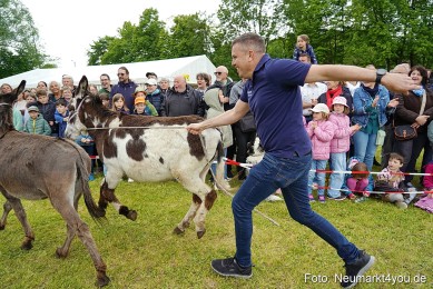 Esellrennen-Fruehlingsfest-Neumarkt-2026-0079