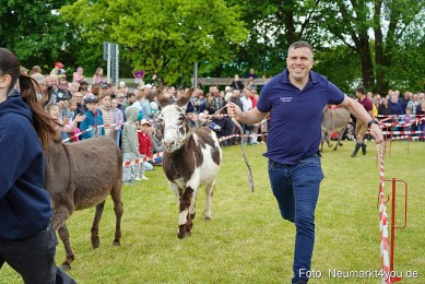 Esellrennen-Fruehlingsfest-Neumarkt-2026-0081
