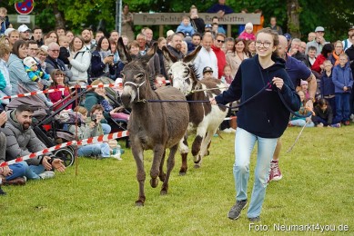 Esellrennen-Fruehlingsfest-Neumarkt-2026-0085