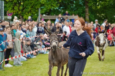 Esellrennen-Fruehlingsfest-Neumarkt-2026-0088