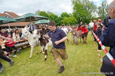 Esellrennen-Fruehlingsfest-Neumarkt-2026-0114