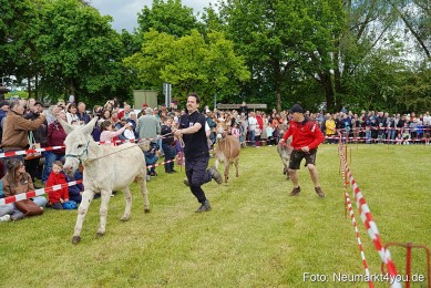Esellrennen-Fruehlingsfest-Neumarkt-2026-0116