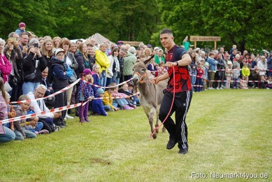 Esellrennen-Fruehlingsfest-Neumarkt-2026-0120