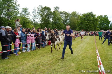 Esellrennen-Fruehlingsfest-Neumarkt-2026-0123