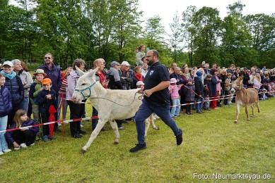 Esellrennen-Fruehlingsfest-Neumarkt-2026-0124