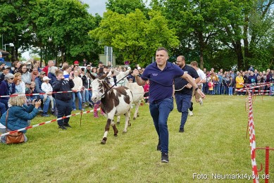 Esellrennen-Fruehlingsfest-Neumarkt-2026-0126