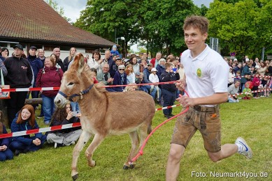 Esellrennen-Fruehlingsfest-Neumarkt-2026-0127