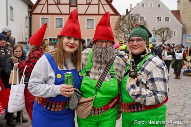 Faschingszug-Berching-150226-0016
