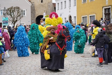 Faschingszug-Berching-150226-0022