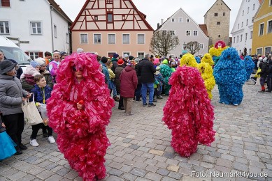 Faschingszug-Berching-150226-0024