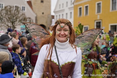 Faschingszug-Berching-150226-0029