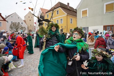 Faschingszug-Berching-150226-0046