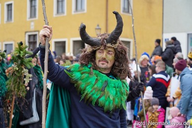 Faschingszug-Berching-150226-0048
