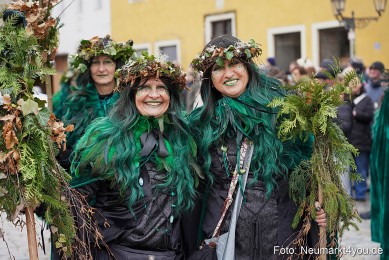 Faschingszug-Berching-150226-0049