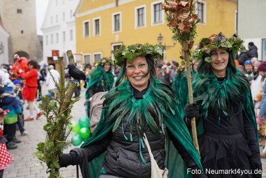 Faschingszug-Berching-150226-0050