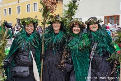 Faschingszug-Berching-150226-0052