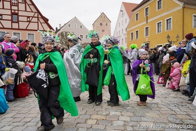 Faschingszug-Berching-150226-0060