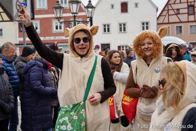 Faschingszug-Berching-150226-0089