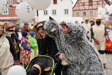 Faschingszug-Berching-150226-0091