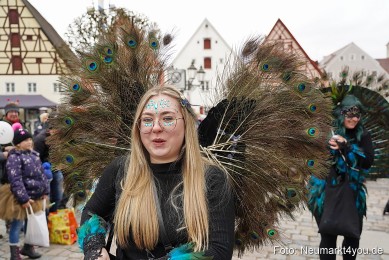 Faschingszug-Berching-150226-0154