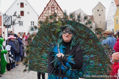 Faschingszug-Berching-150226-0155