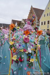 Faschingszug-Berching-150226-0190