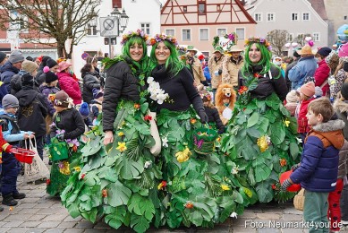 Faschingszug-Berching-150226-0197