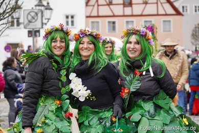 Faschingszug-Berching-150226-0198
