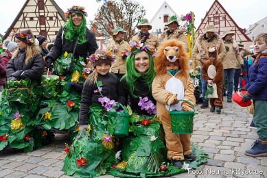 Faschingszug-Berching-150226-0199