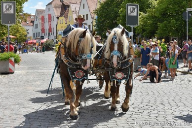 JURA-Volksfestzug-Neumarkt-0089