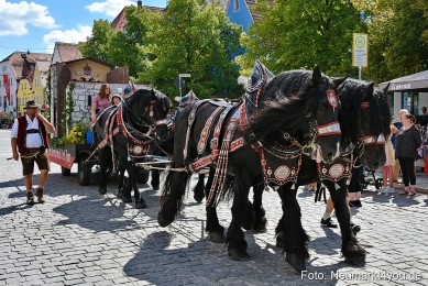 JURA-Volksfestzug-Neumarkt-0143