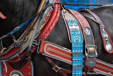 JURA-Volksfestzug-Neumarkt-0388